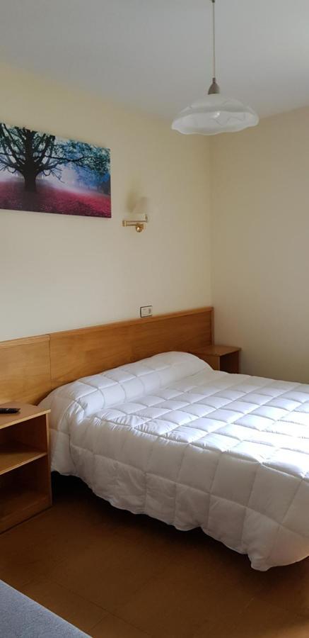 Hotel Alina Cangas De Narcea Exteriér fotografie